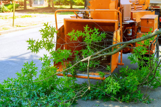 Lawn Watering Services in Mckee City, NJ